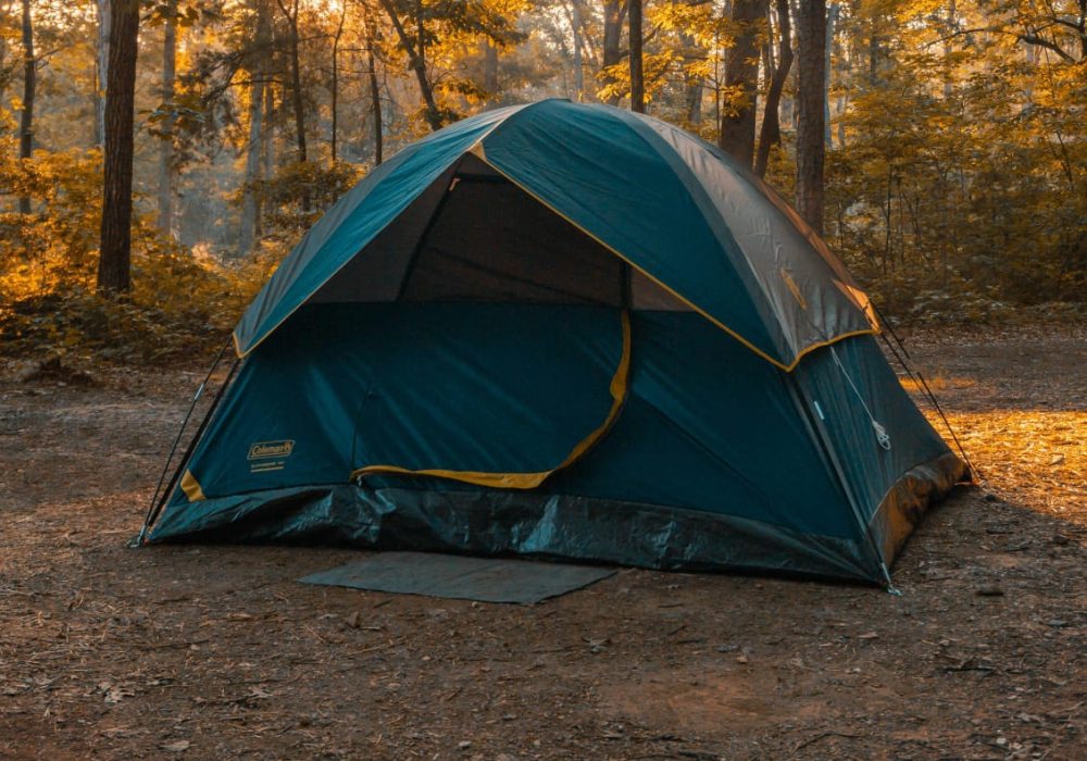 WhatsApp Image 2025-09-17 at 12.30.35